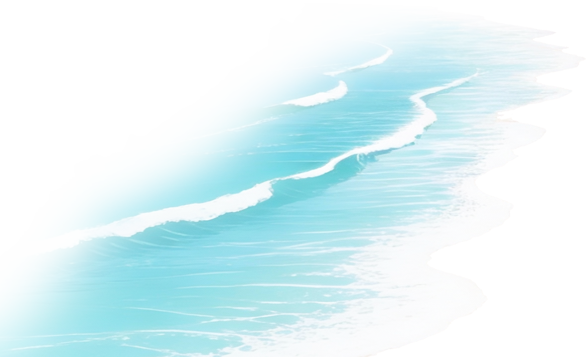 绿水青山的舟山答卷